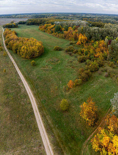 Autumn colors 1